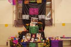 dia-muertos-primaria-07