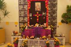 dia-muertos-primaria-09